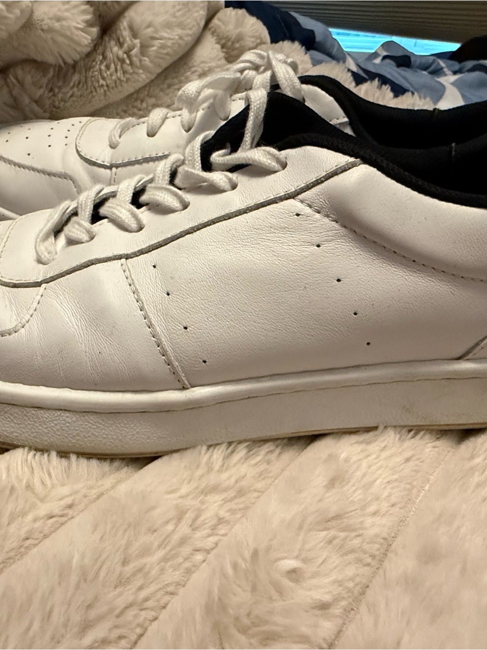 PAIGE White Leather Sneakers with Black Collar Trim